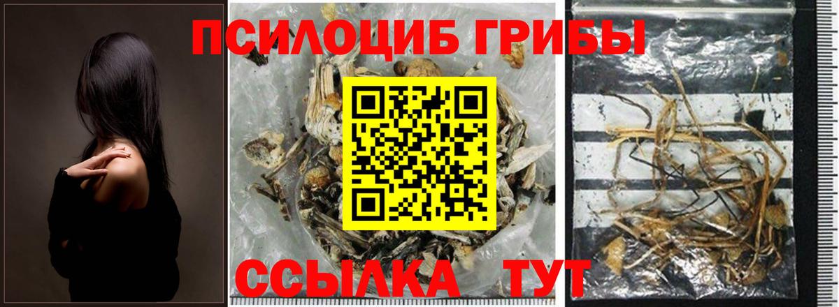 Галлюциногенные грибы MAGIC MUSHROOMS Гулькевичи